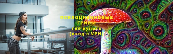 шишки Балахна